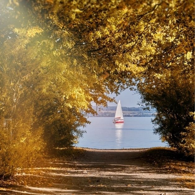 L'autunno è il periodo migliore dell'anno per molti velisti e noi sappiamo perché. Scoprite con noi la magia della navigazione autunnale.