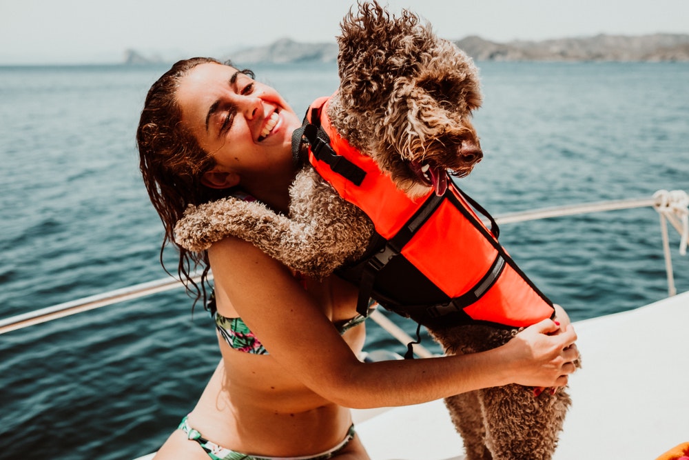 7 dicas para velejar com o seu cão