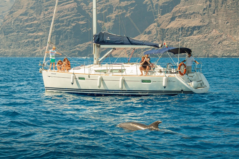 If you are fortunate enough to encounter a cetacean or even a turtle while sailing on a yacht, respect is key.