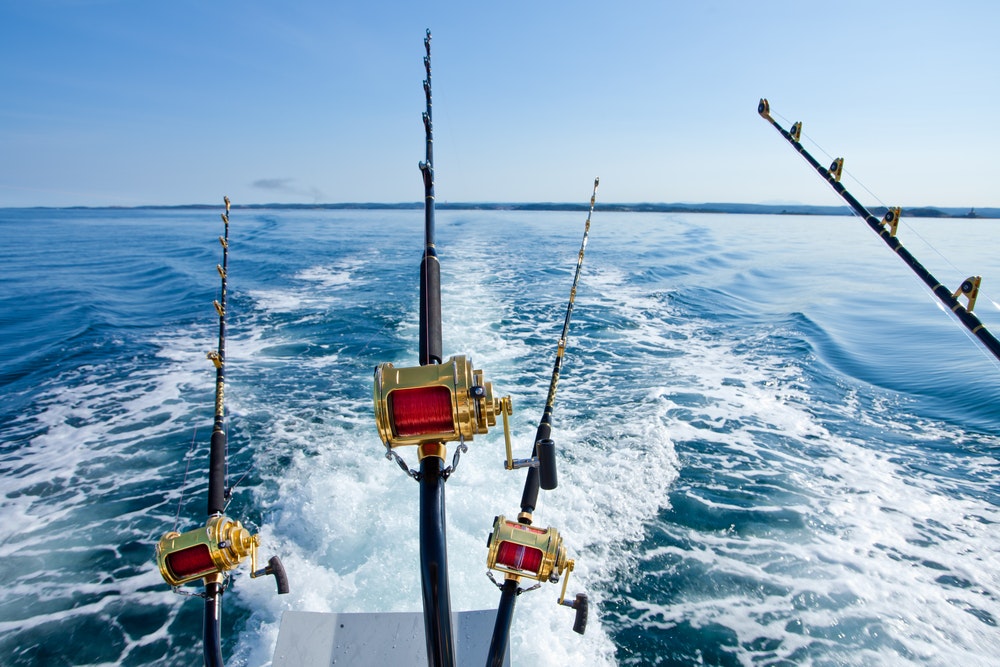 Kombiner to hobbyer og tag ud på din båd med en fiskestang i hånden. Disse destinationer vrimler med fisk.