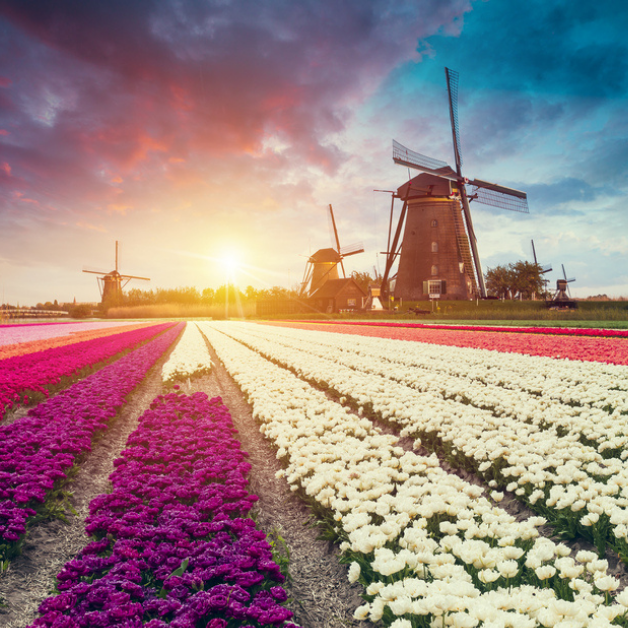 Rádi byste vyrazili na příjemnou dovolenou na hausbótu? Co takhle navštívit Holandsko. Prozradíme vám, která místa byste neměli vynechat. A doporučíme, co se tu dá podniknout.