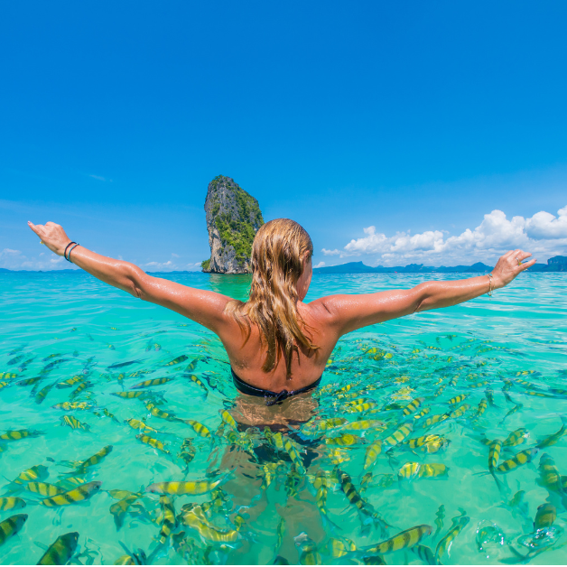 Underwater life in Thailand is incredibly diverse and beautiful, so let's take a look at the top snorkelling and scuba diving spots for people of all skill levels. Be sure not to leave these places off your list when boating in Thailand.