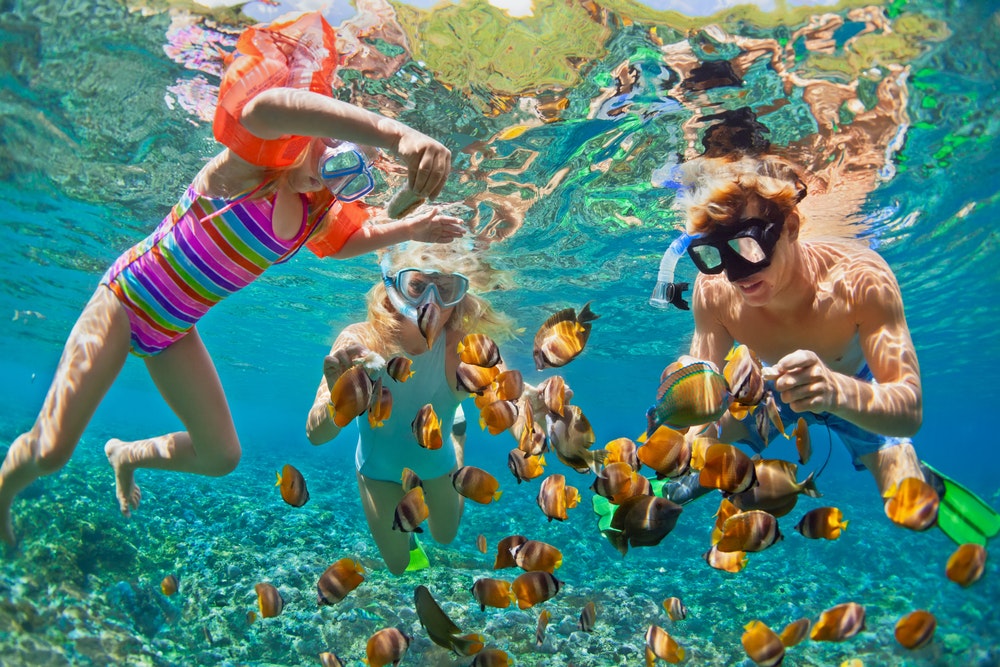 Счастливая семья - отец, мать, ребенок в маске для подводного плавания ныряют под воду с тропическими рыбами у кораллового рифа
