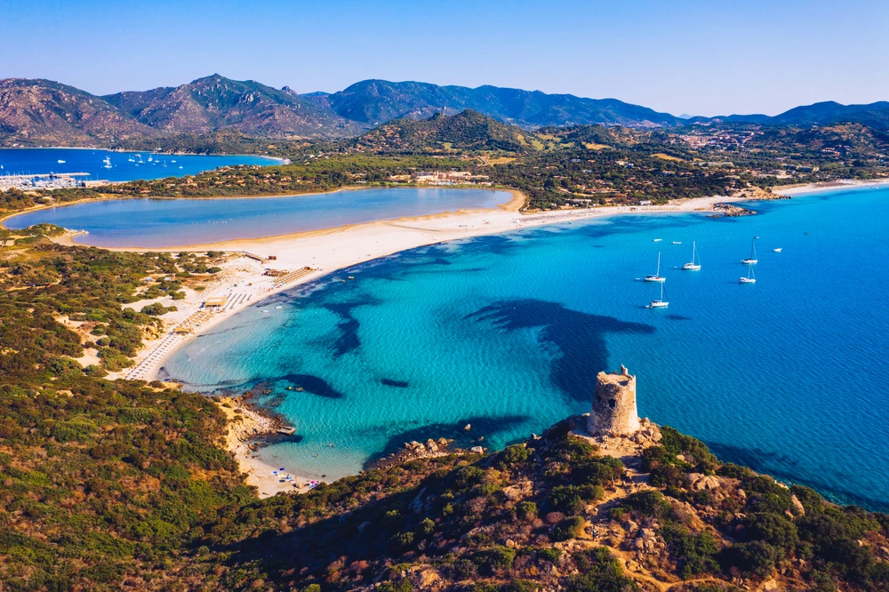 Flamingos leben in Sardinien an mehreren Orten