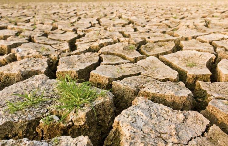 Larger winds and waves worsen the effects of climate change