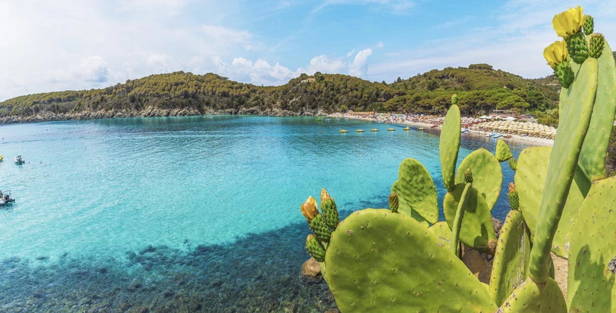 Fetovaia strand på ön Elba