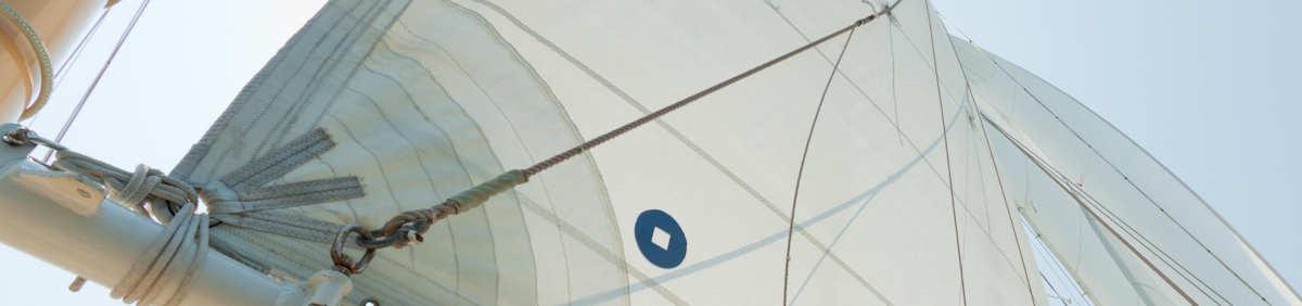 What sail types will you find on a charter yacht?