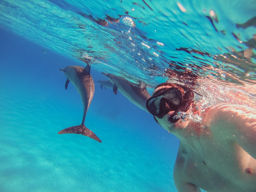 Obwohl es auf Glück und Zufall ankommt, ist das Schnorcheln mit Delfinen und Walen im Mittelmeer nicht unmöglich.