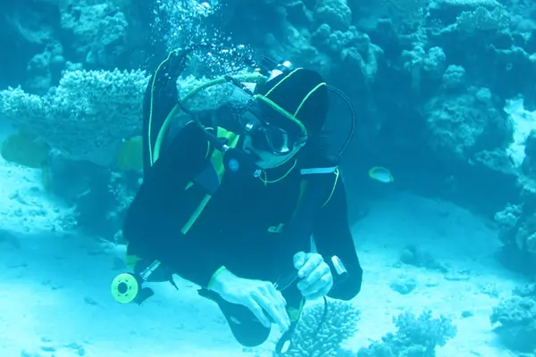 Potápění a neskutečná svoboda