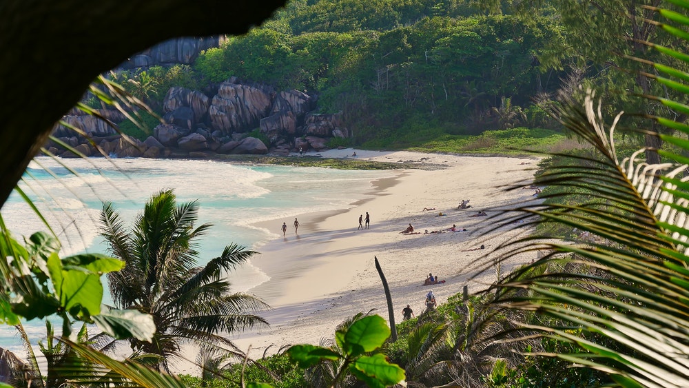 Вид сквозь растительность на туристов, загорающих на прекрасном тропическом пляже Гранд-Анс на юге острова Ла-Диг, Сейшельские острова.