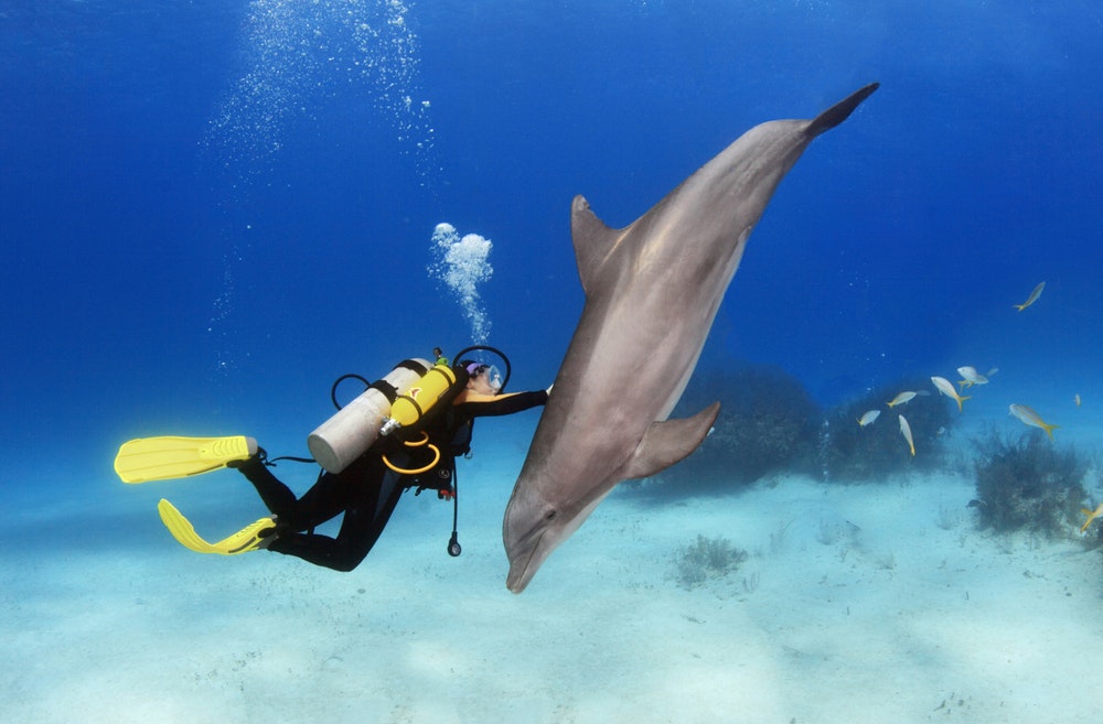 Potápěčka hrající si s delfínem
