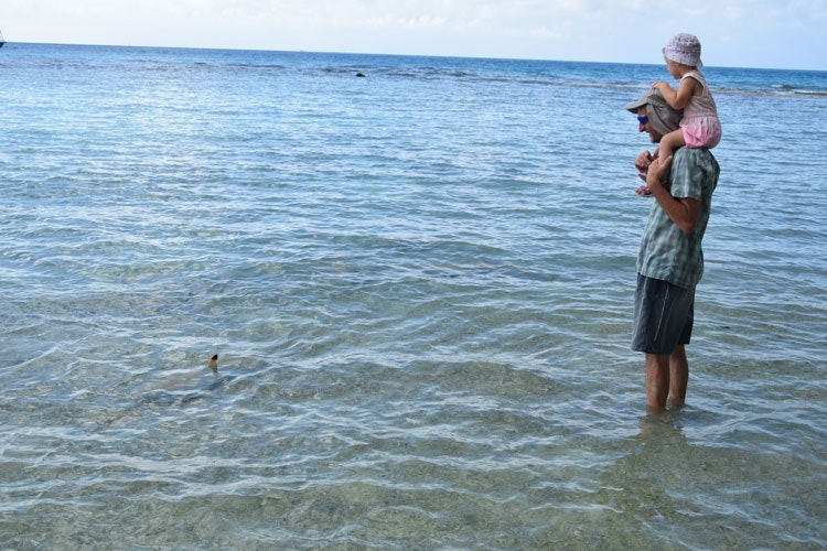 Jiří Denk med dotter och svartspetshajar i Franska Polynesien