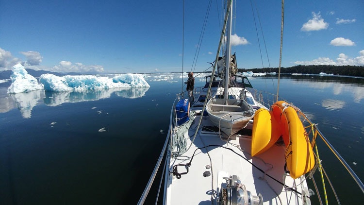 Cruise fra Ushuaia til Falklands- og Sør-Georgia