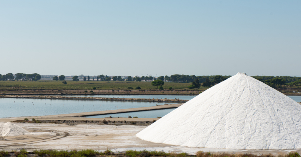 Camargue salt "brytning"