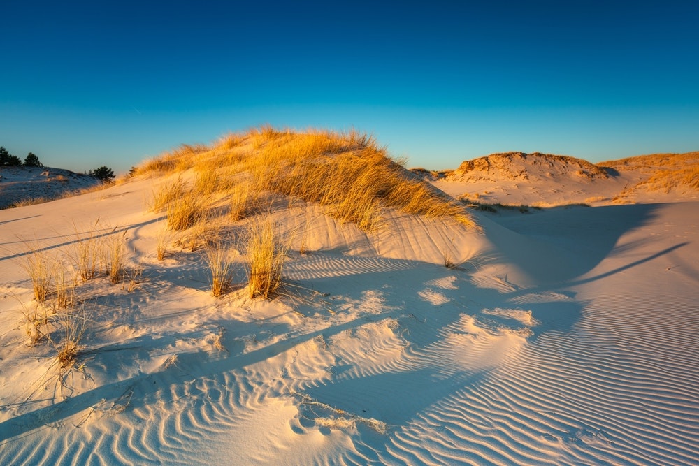 Bellissimo scenario di dune di sabbia nel Parco Nazionale Slowinski al tramonto, Leba. Polonia
