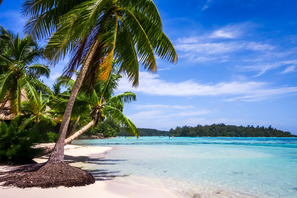 Plaja tropicală paradisică și lagună de pe insula Moorea. Polinezia Franceză