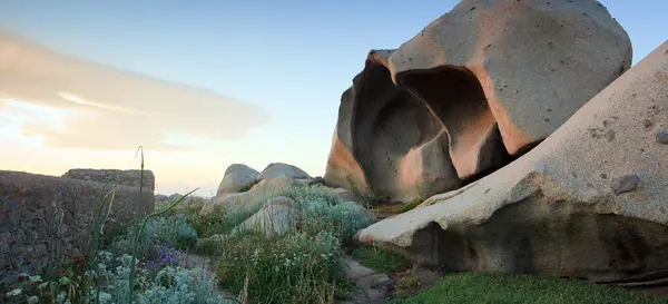 Žulové kameny na ostrově Lavezzi