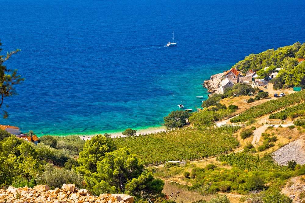 Viinitarha ja ranta viehättävässä kylässä Farskan lahdella, Bracin saarella, Dalmatiassa, Kroatiassa