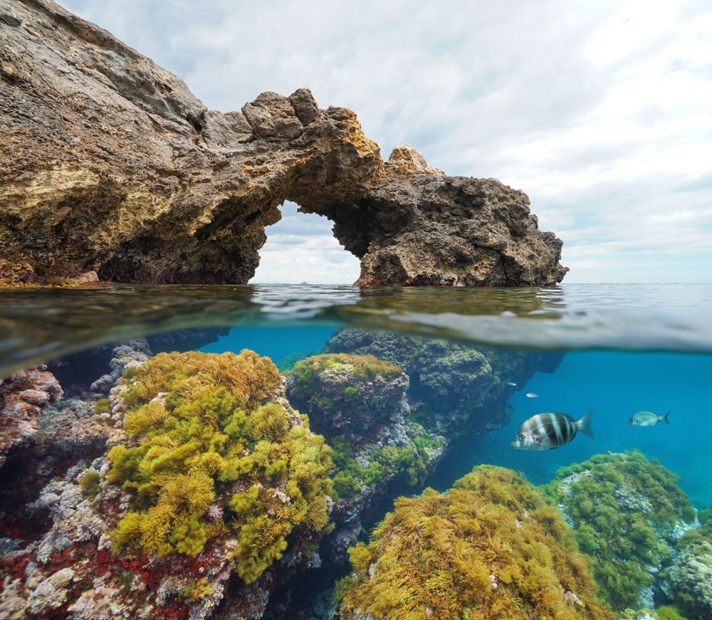 Formazione rocciosa ad arco naturale con alghe e pesci sott'acqua,