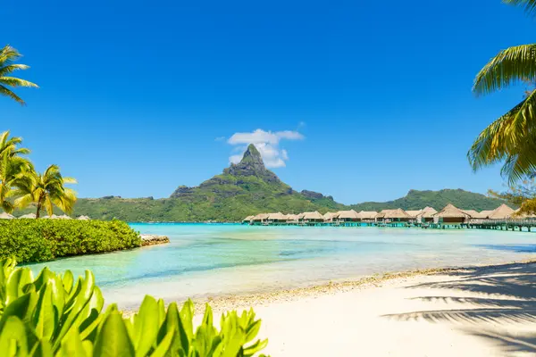 フランス領ポリネシア French Polynesia フラン バラ売り可