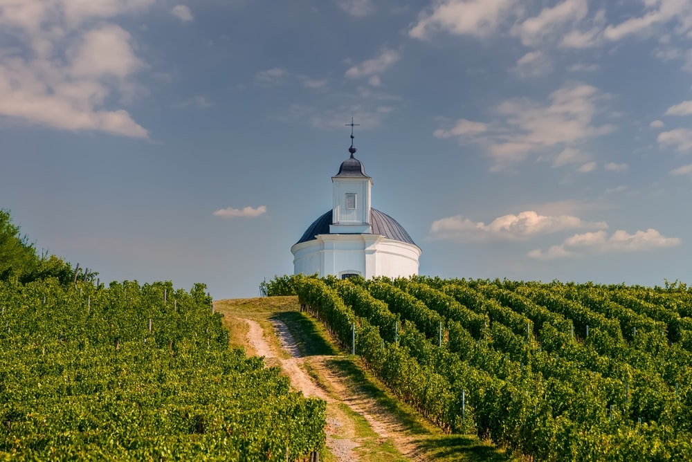 Capilla de Terezia con viñedos en la región húngara de Tokaj.