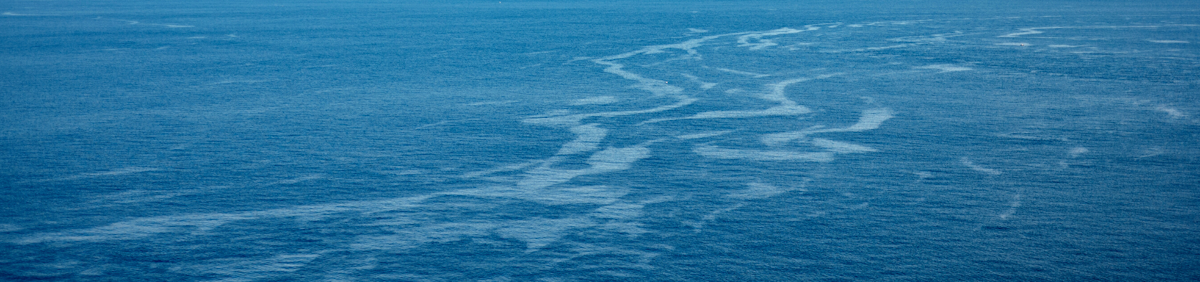 流れに身を任せよう：地中海の海流