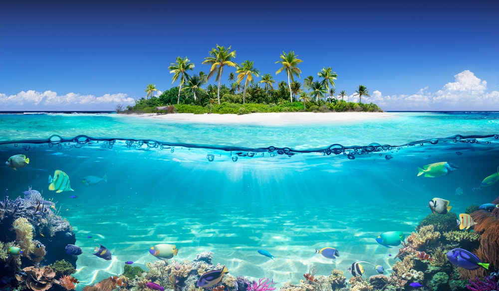 Isla tropical y arrecife de coral 