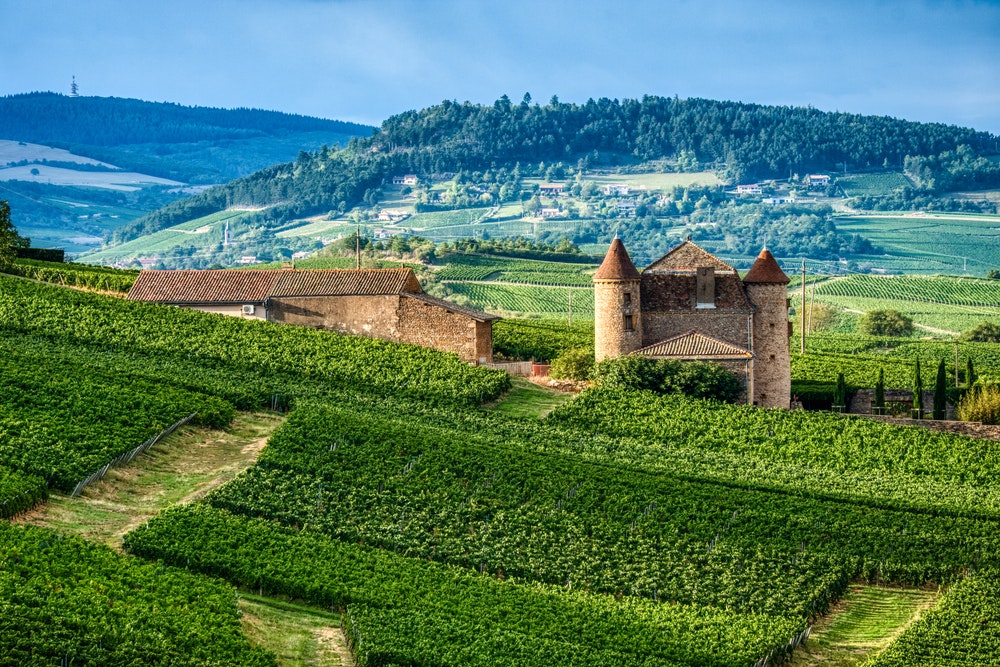 Kilátás a szőlőültetvényekre Dél-Burgundiában egy kőépülettel