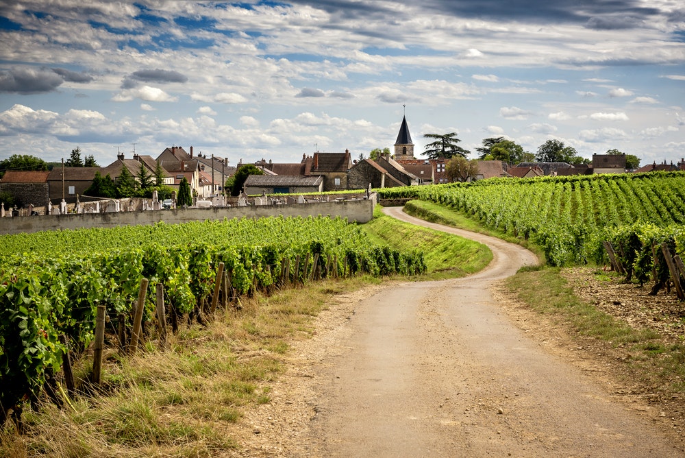 . Cesta vo vinohradoch vedúca do obce Vosne-Romanée. Francúzsko