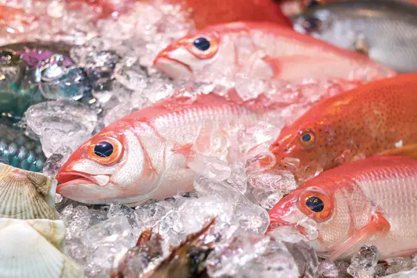 Fresh fish in Makishi Public Market in the city of Naha