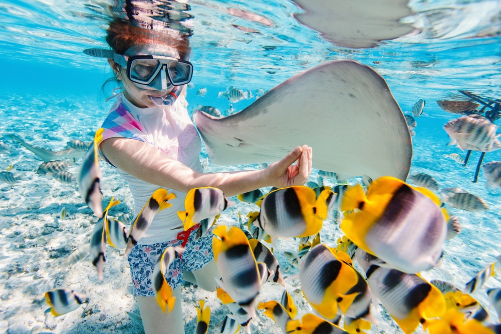 Женщина занимается снорклингом в прозрачных тропических водах среди разноцветных рыб