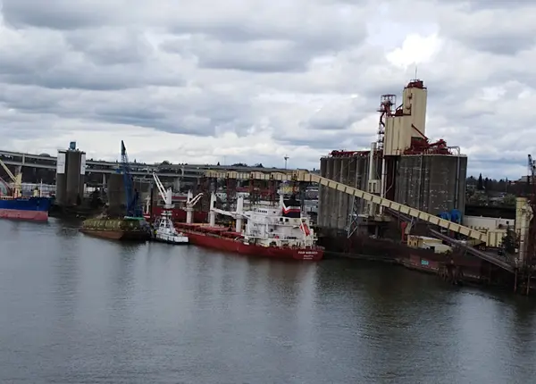 Lodě kotví v přístavu 