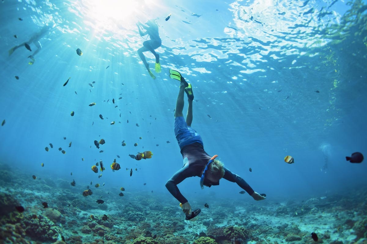Snorkelēšana skaidrā jūrā ar koraļļu rifiem un daudzām zivīm
