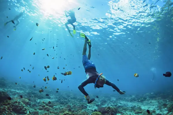 Snorkeling in the clear sea with coral reefs and lots of fish