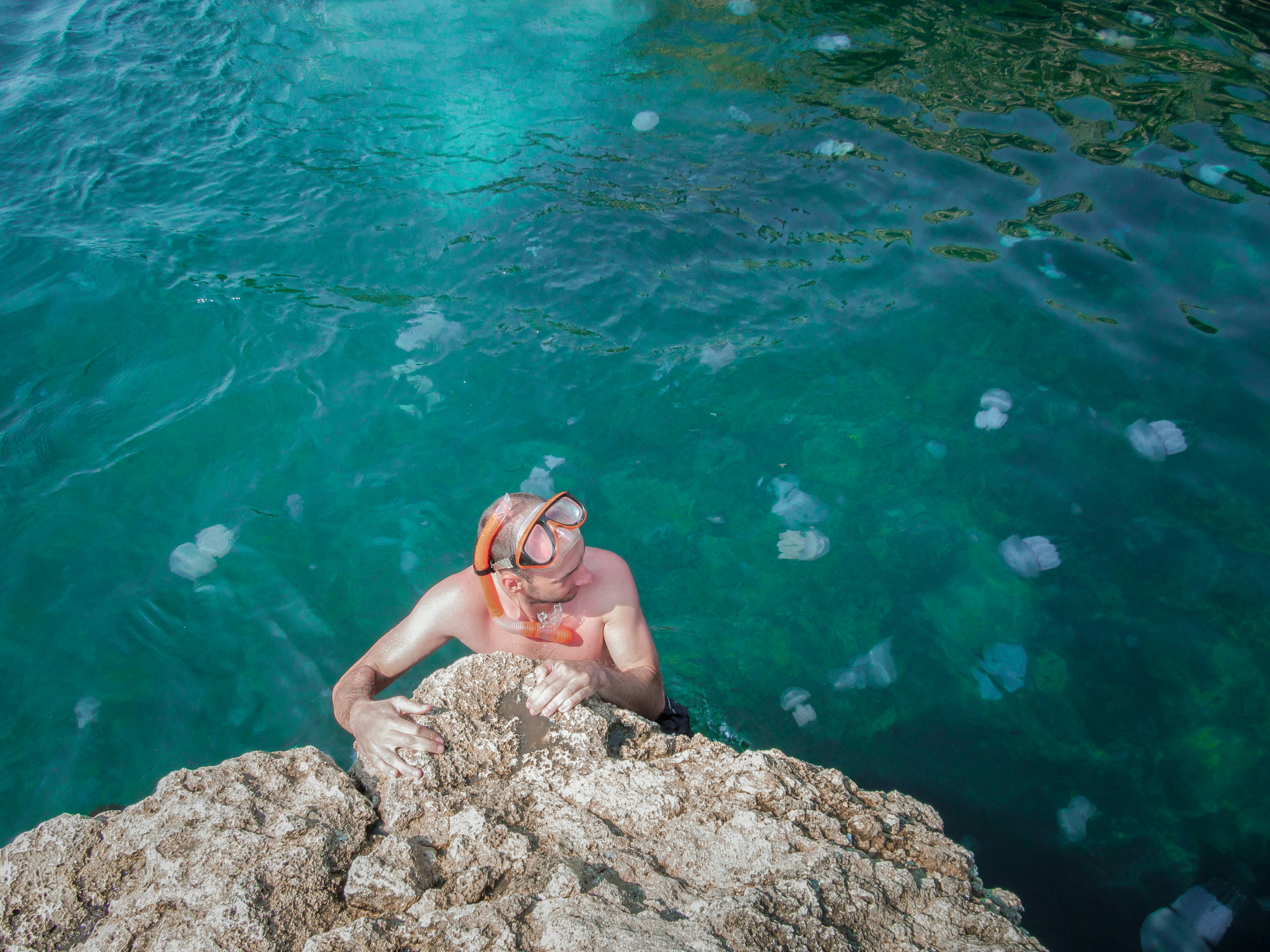 Quallen sind im Mittelmeer in den Sommermonaten häufiger anzutreffen, wenn die Wassertemperaturen höher sind und mehr Sonnenlicht für das Planktonwachstum zur Verfügung steht.