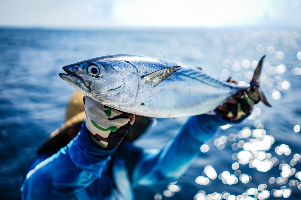 Rybolov a plachtenie: kam sa plaviť za najlepšími úlovkami? 
