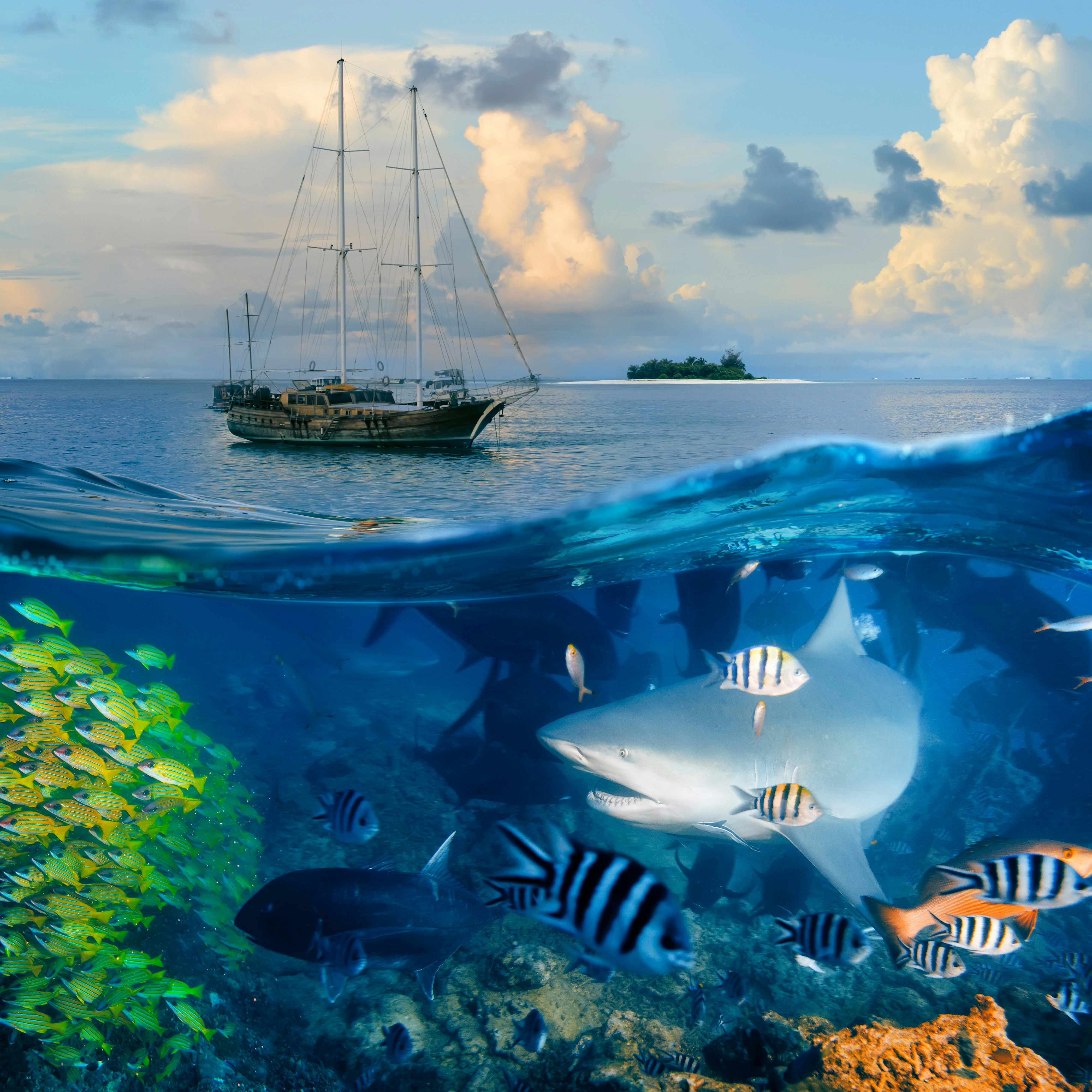 Подводный мир скрывает невероятную красоту