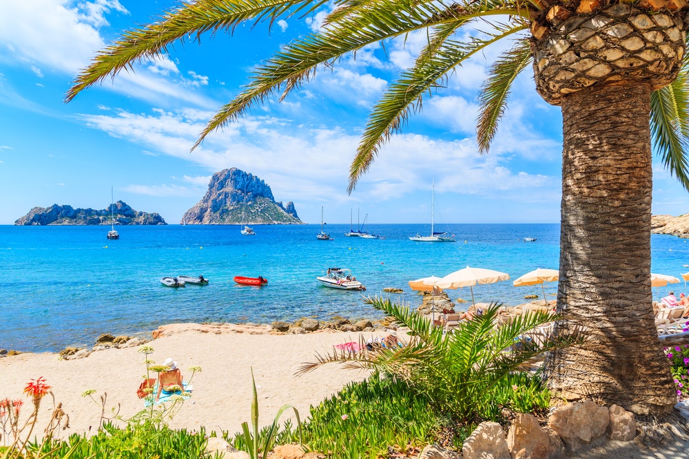 Blick auf den idyllischen Strand von Cala d'Hort mit einer Palme im Vordergrund, Insel Ibiza, Spanien