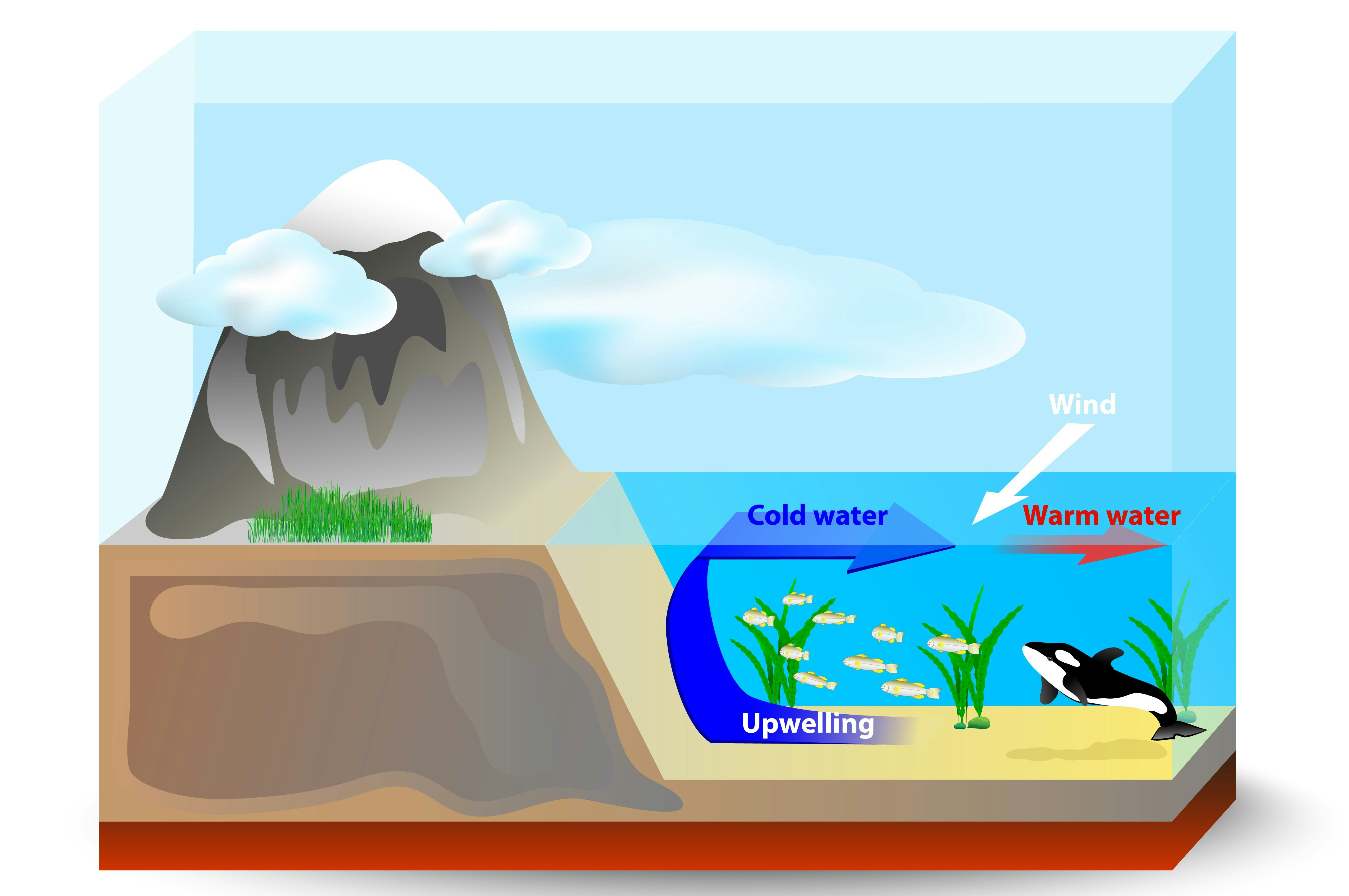 表層水と深層水の混合図、上昇流が海底の冷たい水を表層に運ぶ