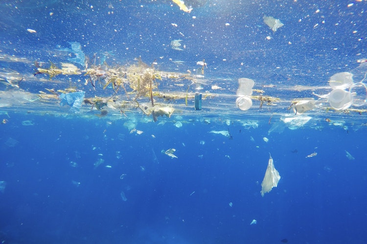 Plasty a znečistění v moři