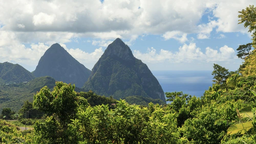 Karibská pláž s bílým pískem a palmami na ostrově Mustique