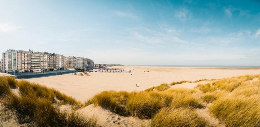 Zeebrugge, miasto portowe, widok na piaszczystą plażę i domy