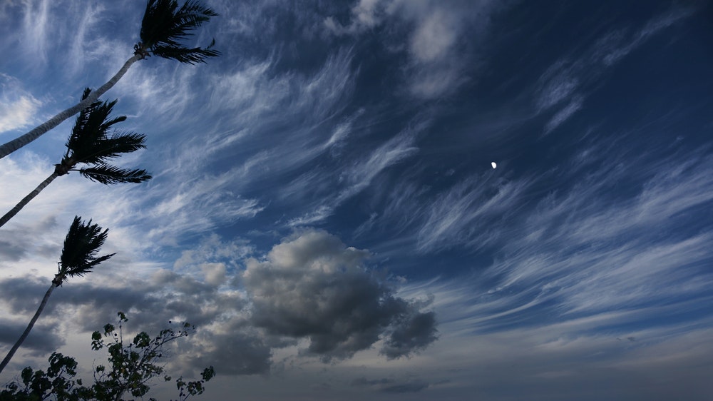 Cieli caraibici prima dell'arrivo dell'uragano, cielo scuro minaccioso, palme piegate dal vento