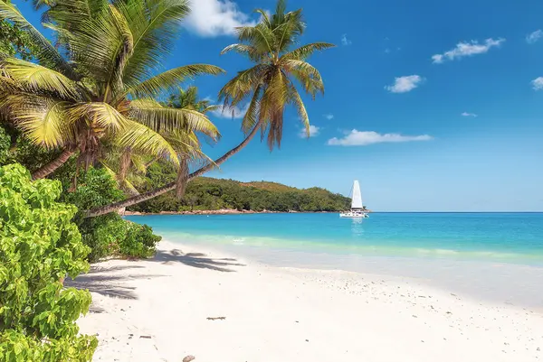 ostrov St. Pierre na Seychelách