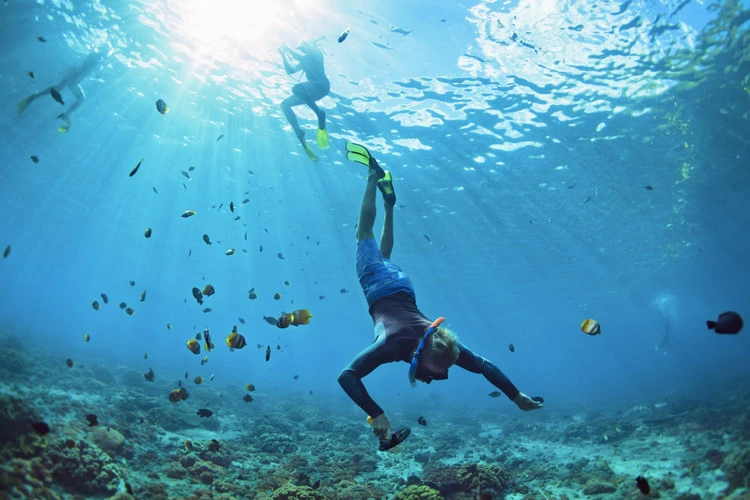 Snorkelling in the Caribbean