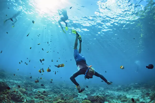 Snorkelling in the Caribbean