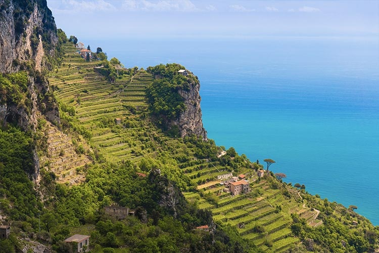 Amalfi je povětné skvělými sitruuna