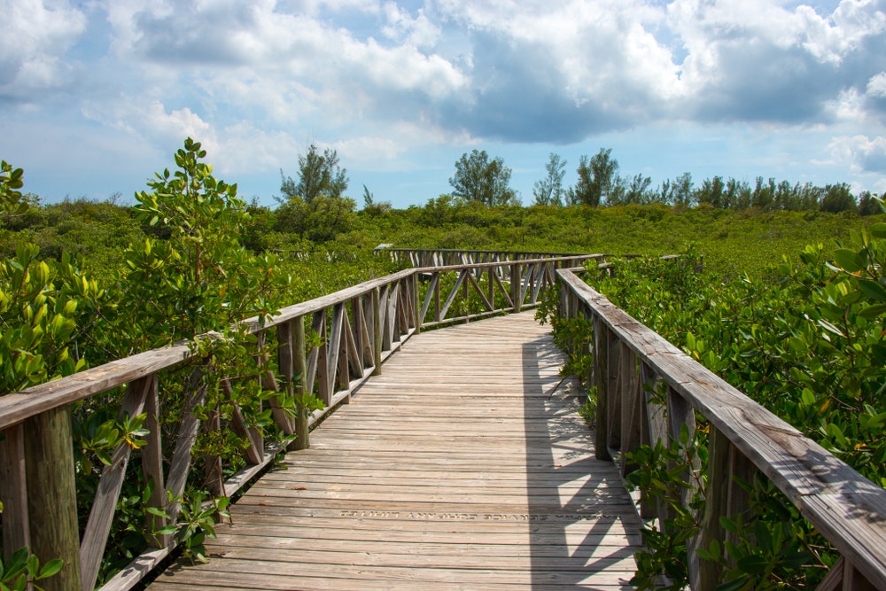 Národný park Lucaya, ostrov Grand Bahama, drevený chodník v zelenej vegetácii