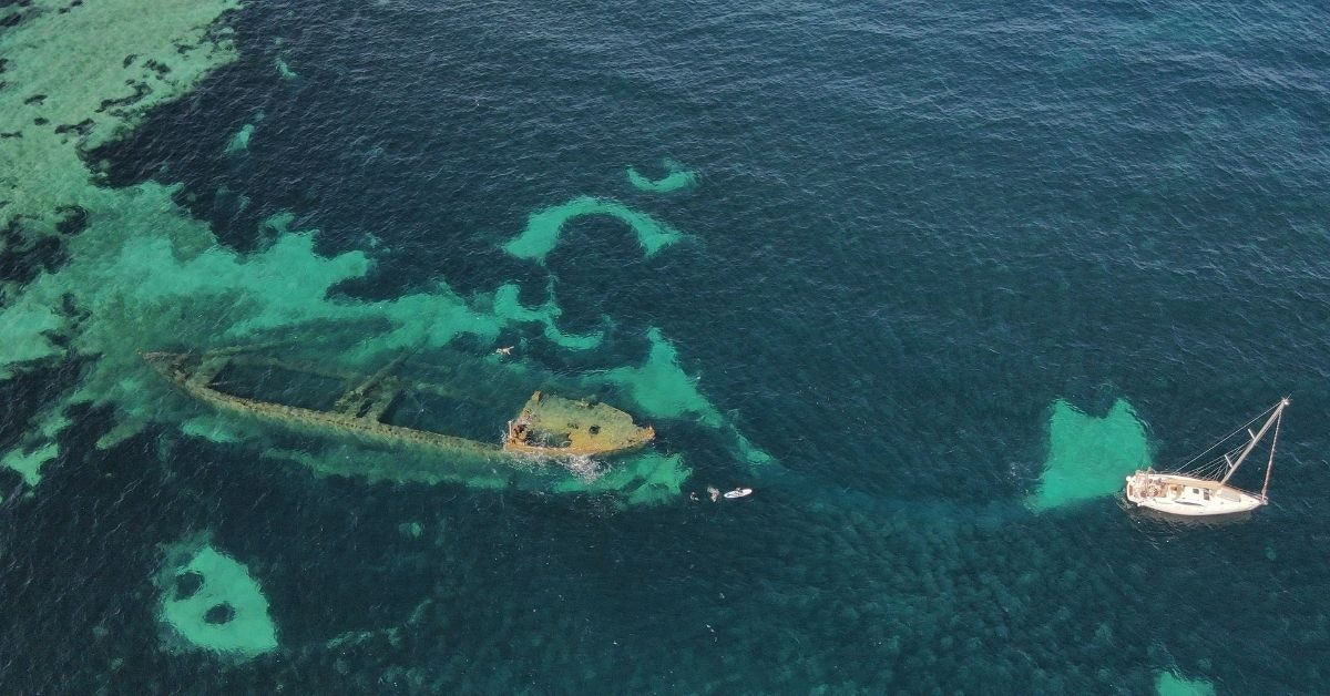 Unterwasserwelt: Kennen Sie das Schiffswrack Michelle? 