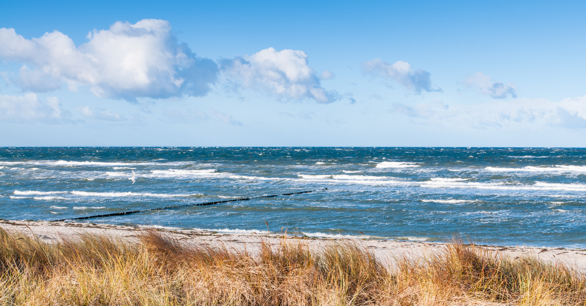 Razumevanje kopenskega in morskega vetra: kako lahko vplivajo na vaše jadranje